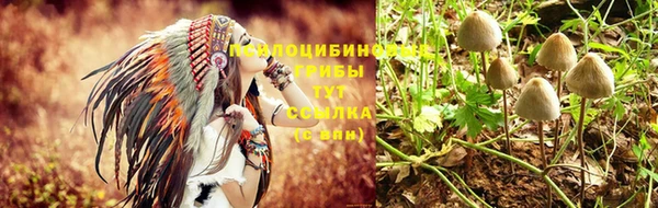 наркотики Ельня