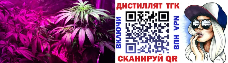 Купить закладки  Карталы  ТГК гашишное масло 