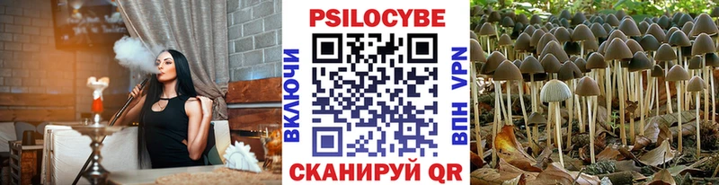 Галлюциногенные грибы Psilocybe  Купить закладки  Карталы 